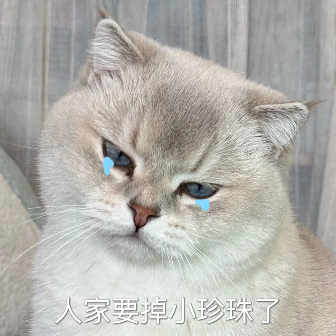 哈特软软的小咪表情包更新啦