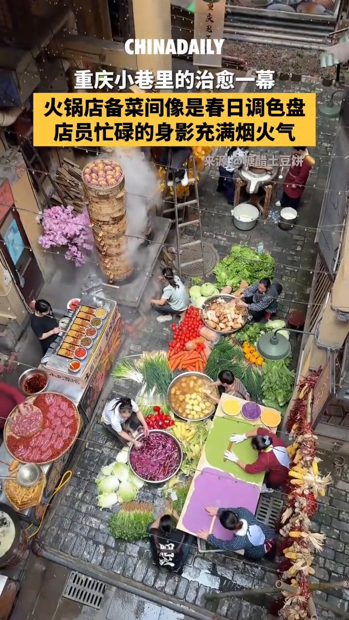 重庆小巷里的治愈一幕：火锅店备菜间像是春日调色盘，店员忙碌的身影充满烟火气。
糖