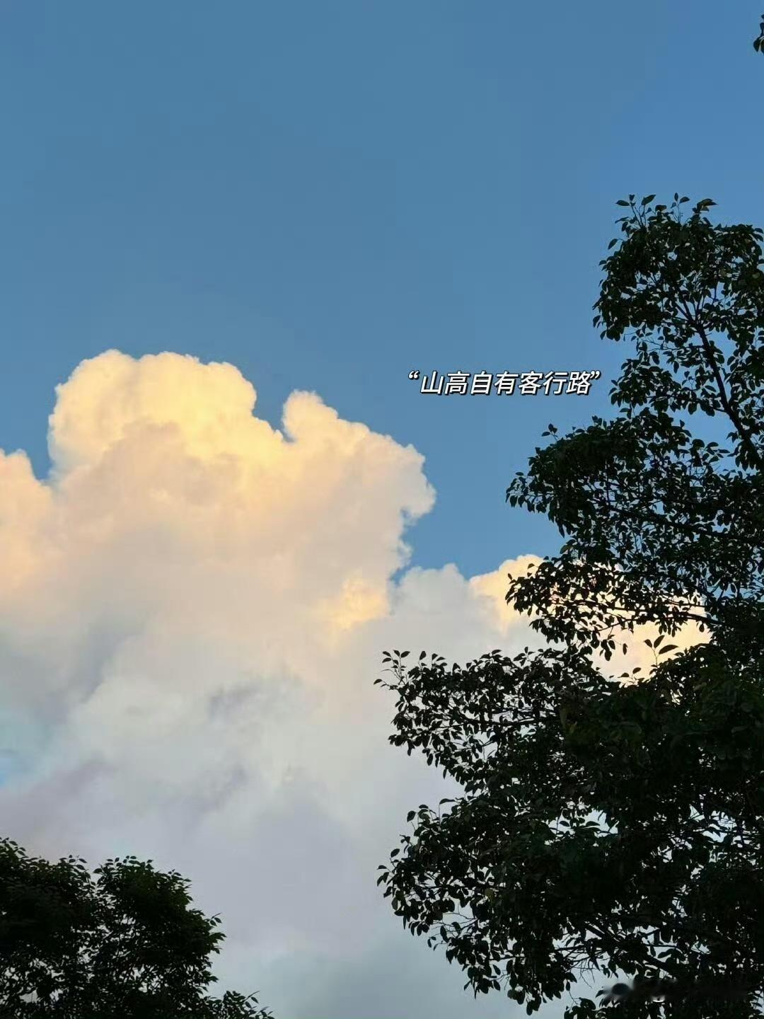 [彩虹][微风][耶]
🌻生活或许不完美，但总有温柔与惊喜，愿我们在平凡日子里
