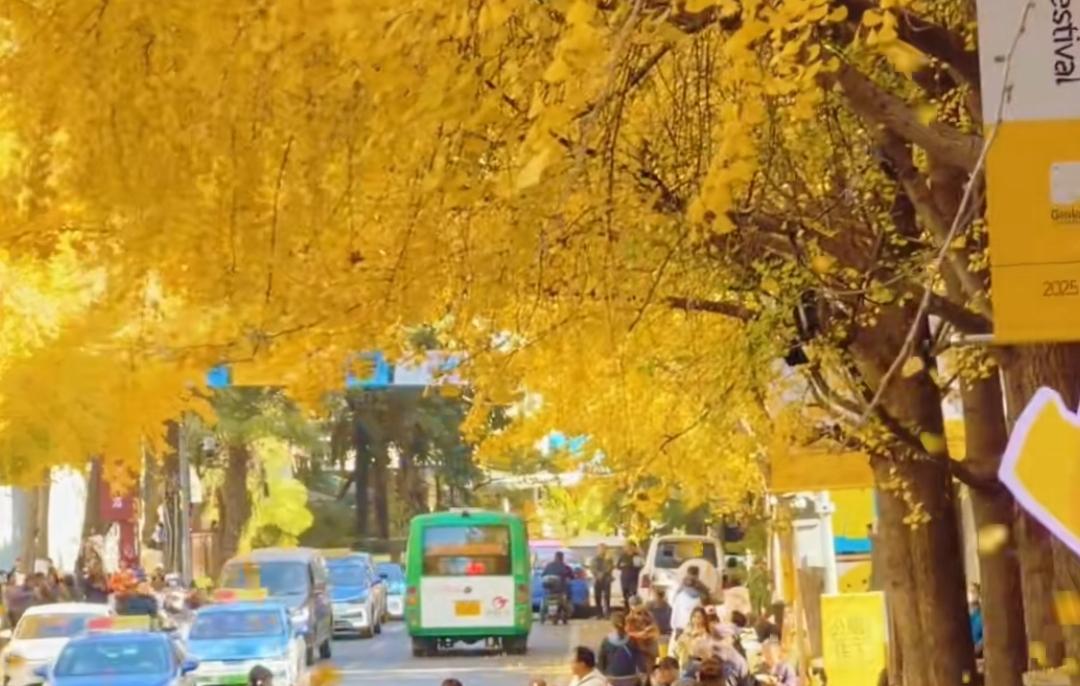 昆明应该是中国文艺范最为强烈的城市之一，这种文艺范与城建关系不大，也与经济规模无