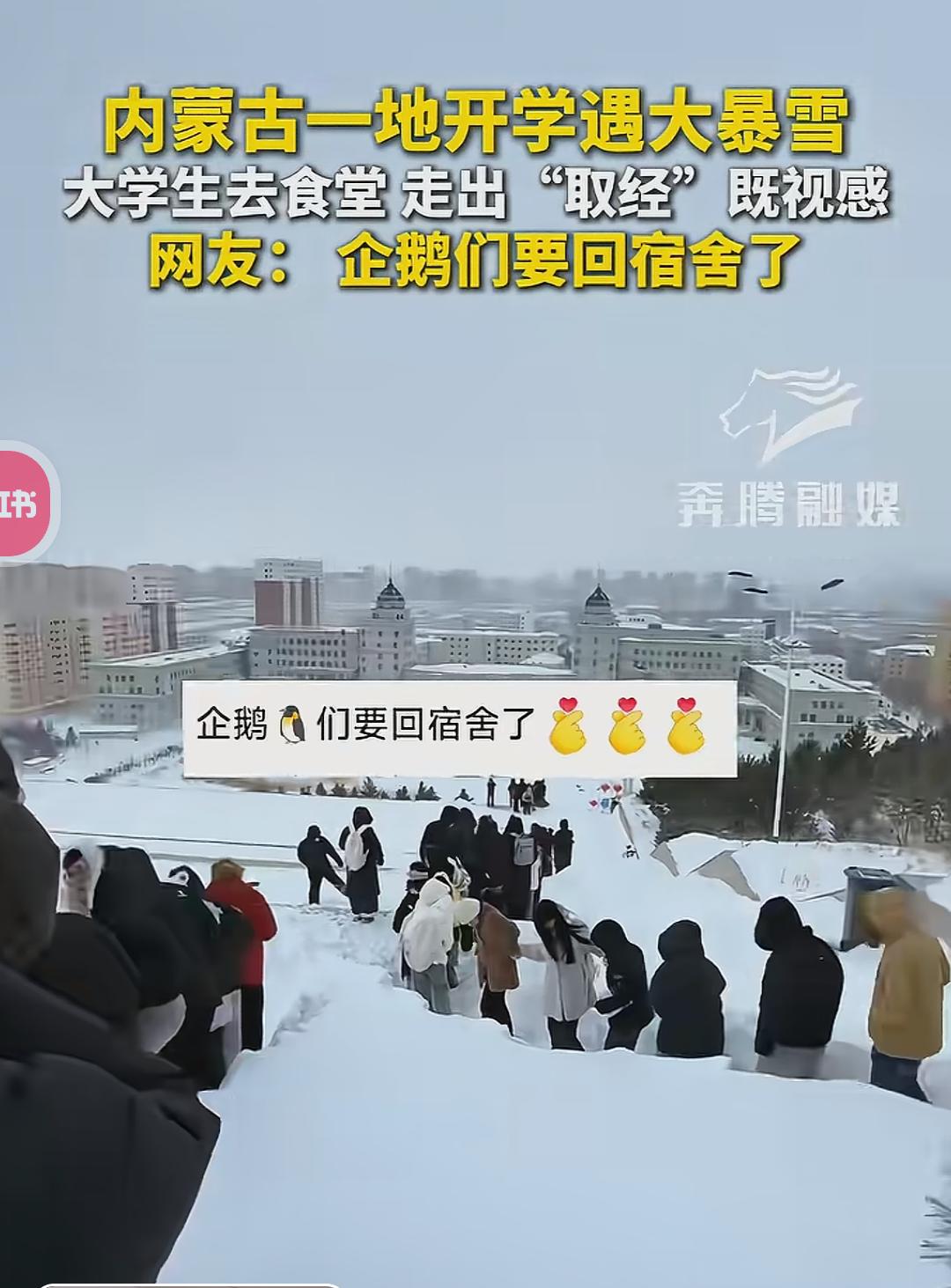 内蒙古一地开学遇大暴雪，大学生们排队去食堂的画面瞬间刷爆了网络。厚厚的积雪，呼啸