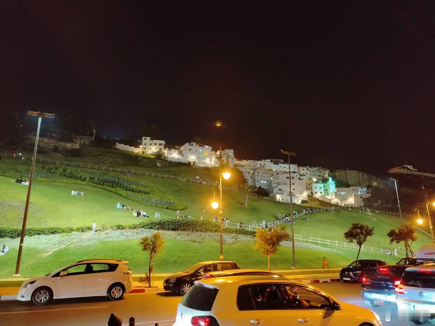​整饬的风景，隐藏的趣味。塔杆上做窝的鹮鹊，经受烈日下的炙烤，工业用地减少栖息的