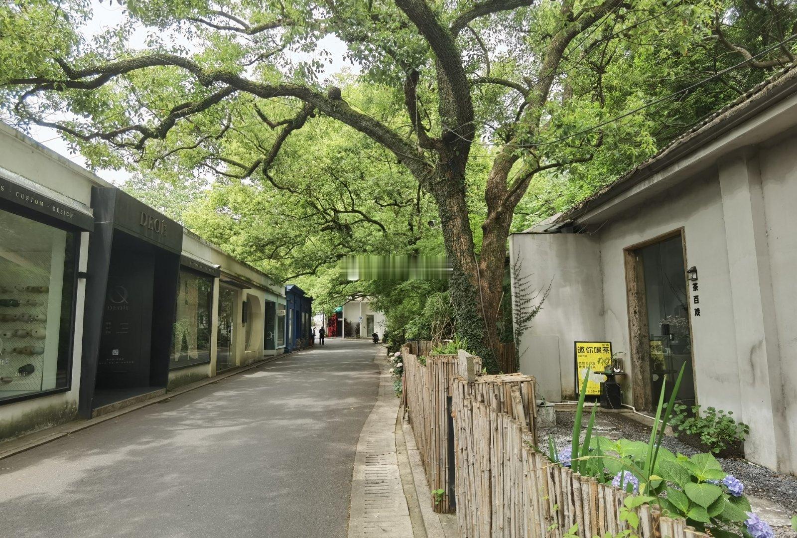 南宋皇城遗址。​像德寿宫那样重建开发，难度很大，所以这里现已成为一处文创园。  