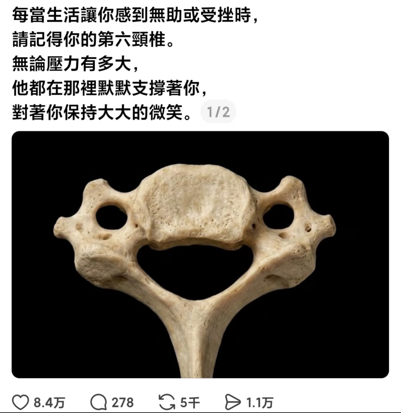 十一，地天泰上下同泰，阴阳和合注意肠胃，呼吸，头部宜，筑堤 修屋 收债 祈福 祭