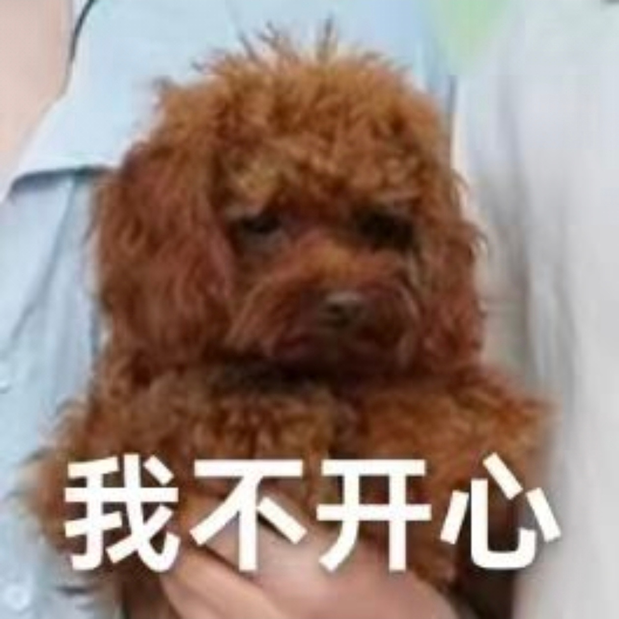 丨 