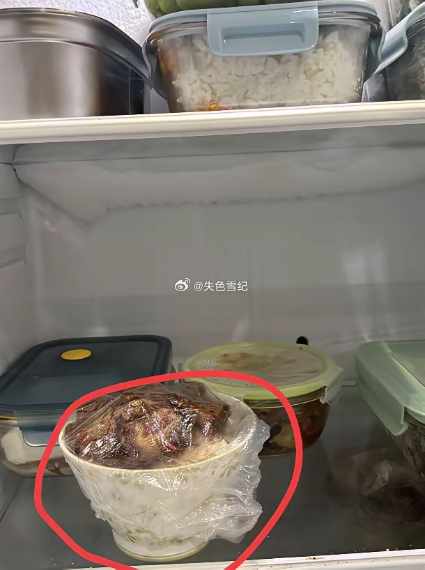我们单位呀，总有一个显眼包，同事们带的所有的菜饭，都放在冰箱里，别人都是饭盒，他