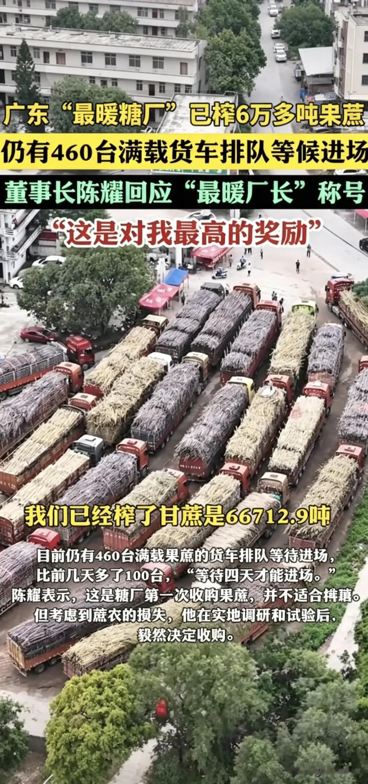 460台货车排长龙！化州“最暖糖厂”兜底收购，让滞销果蔗甜进民心。

 
春日本
