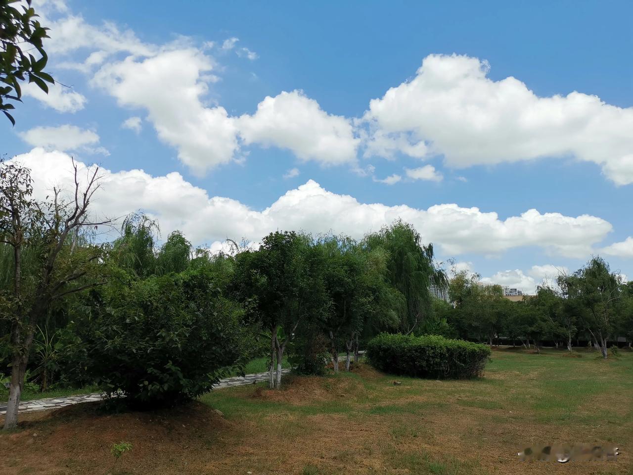 《南昌夏韵，镜头里的诗与远方》

南昌之夏，骄阳似火，却难掩天空的湛蓝与云朵的轻