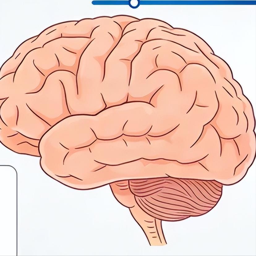 脑出血后记忆力变差？4个简单训练法，帮你找回“丢失”的记忆

脑出血后，很多患者