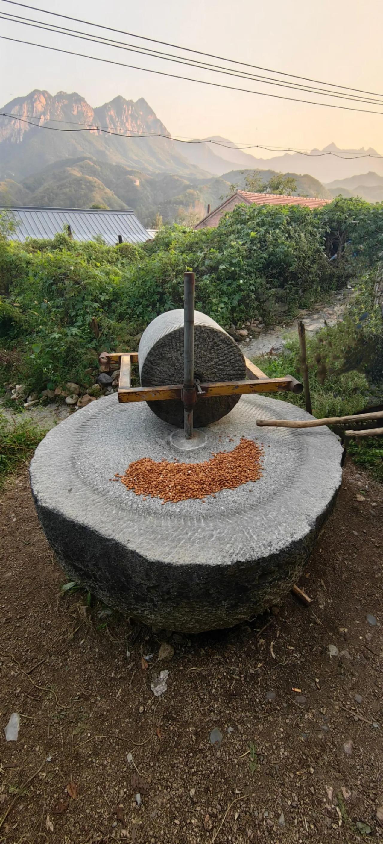 古老的石碾子，在现代化生活中已经不多见了，特别是现在的小孩子估计都没见过，甚至叫