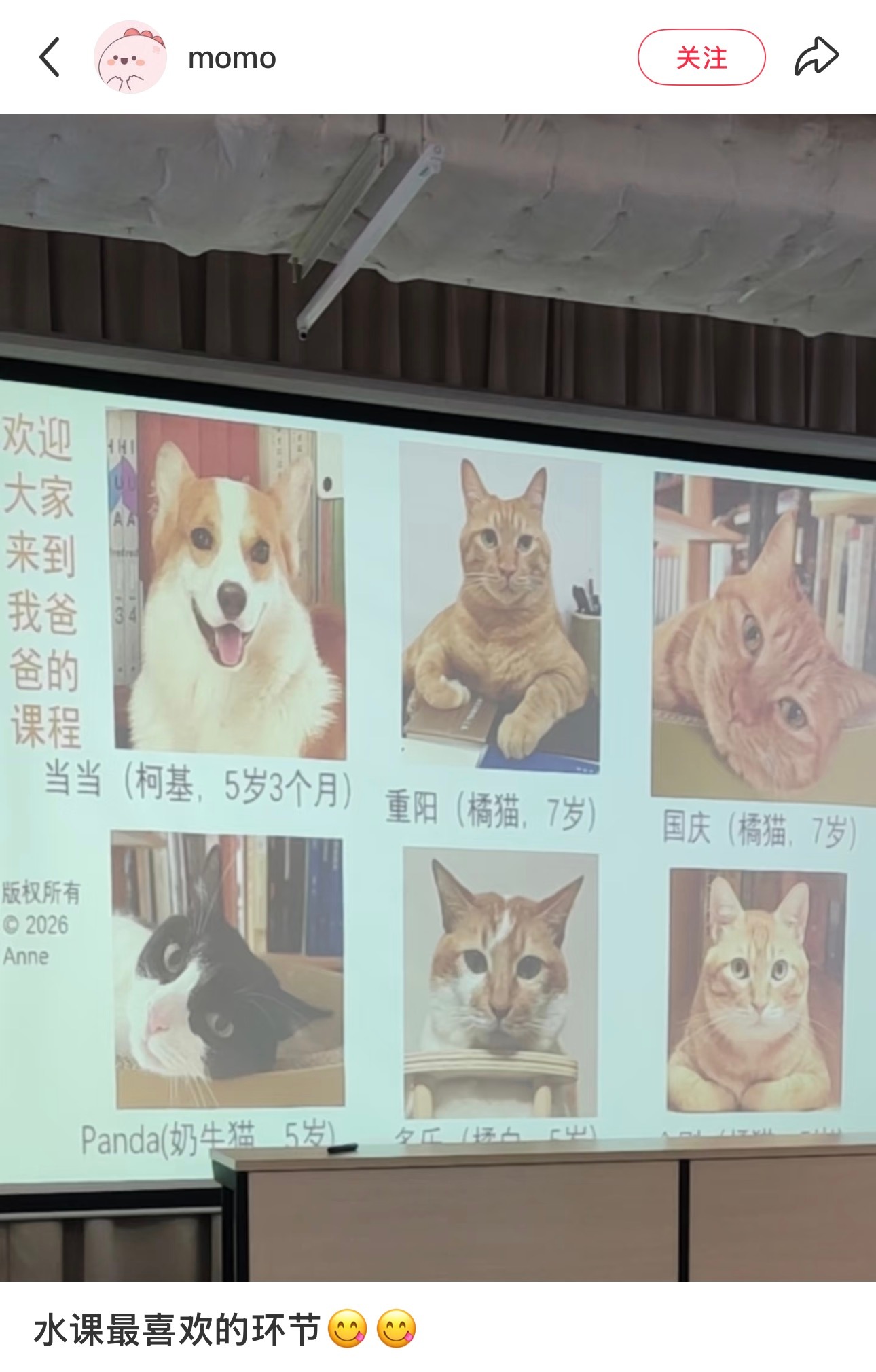 上这种课我坚决不玩手机 ​​​