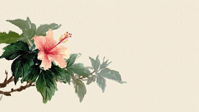 女性过了40岁以后，体重能在这个范围，可以说是老得慢的体质
