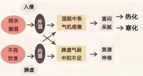 一个治疗“幽门螺旋杆菌”的专方[赞]#中医式生活#HP(幽门螺杆菌)感染后的症状