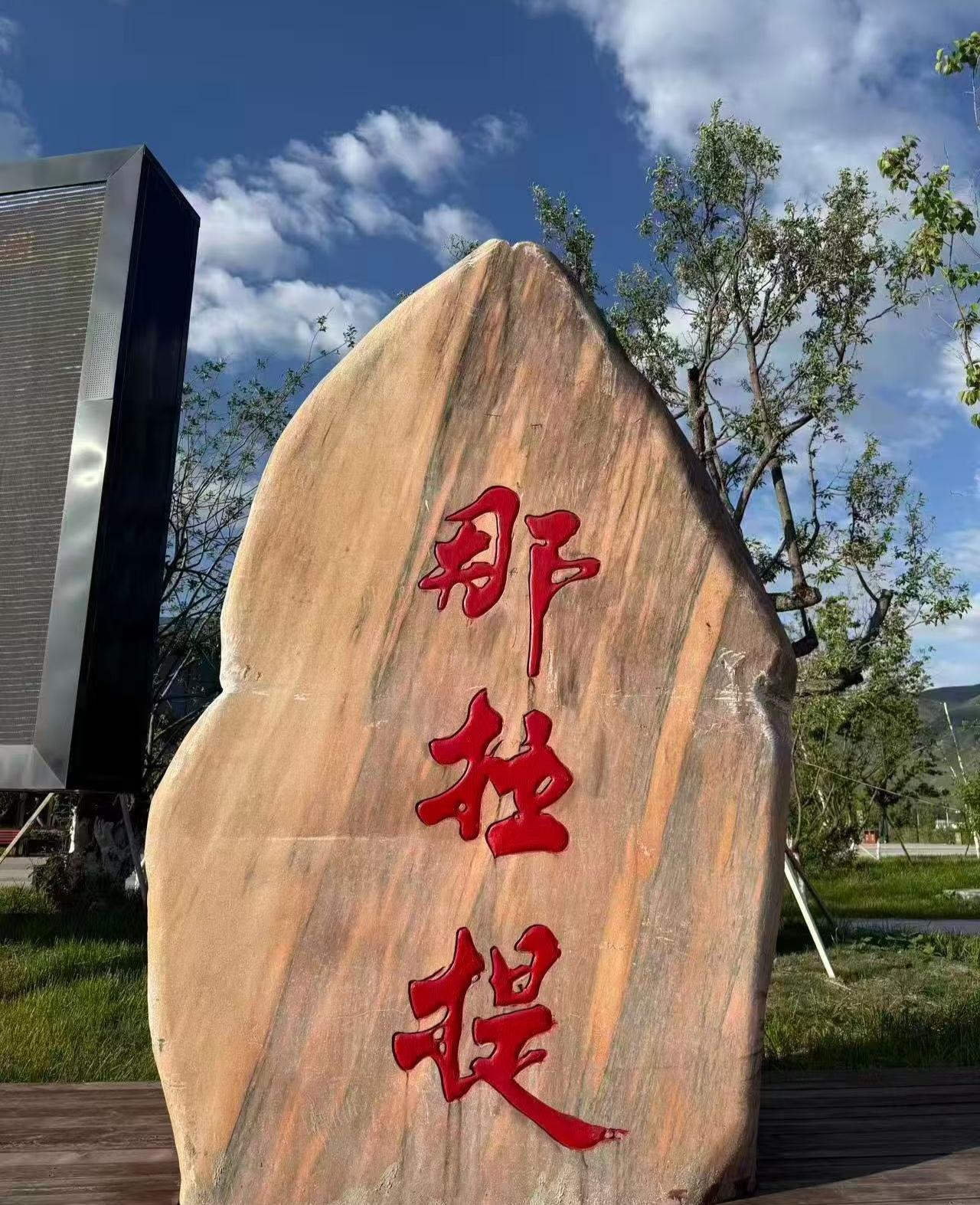 分享你的随手拍照片