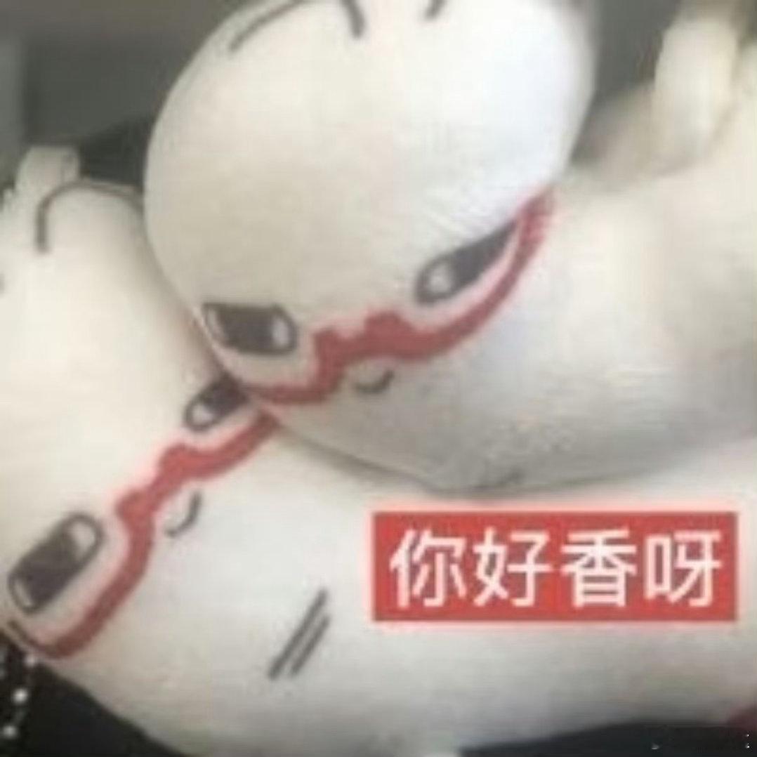 昆廷 204 户认识花花草草中。。塔塔怎么突然匆匆离场哈哈哈哈哈哈pika 城开