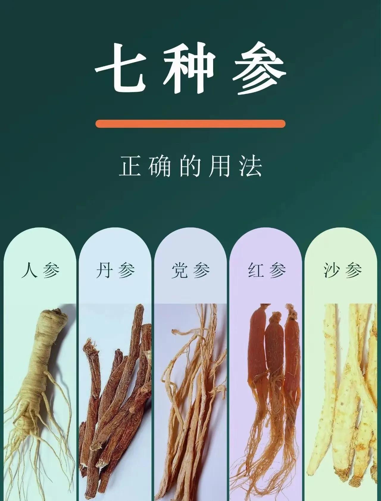 “参”了解多少？