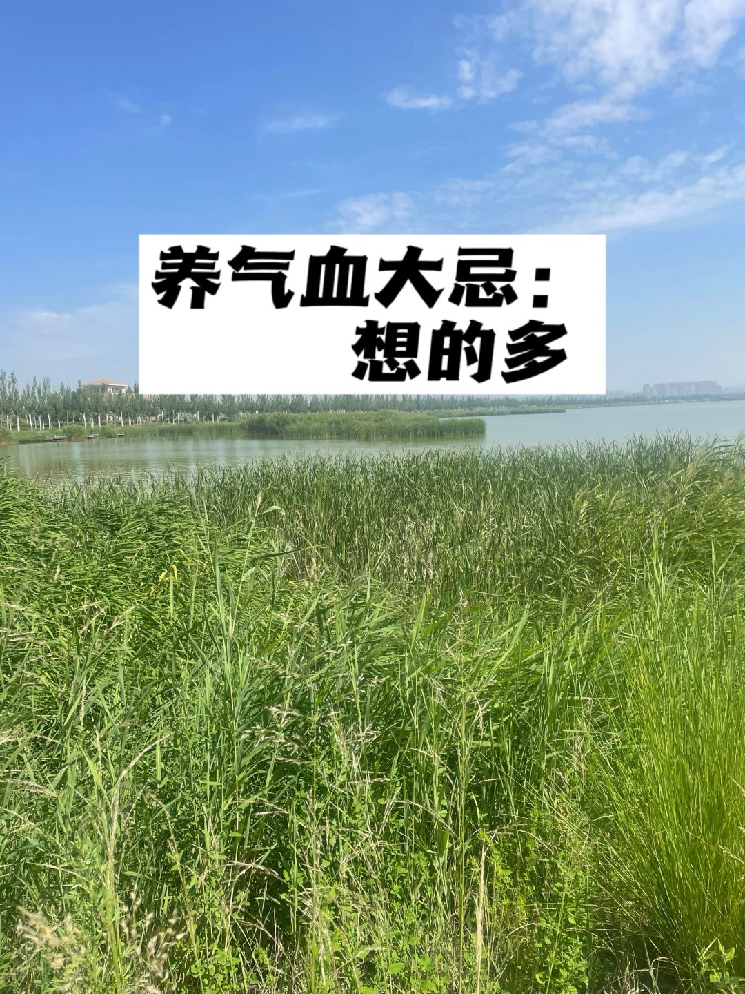养气血大忌：想的多.