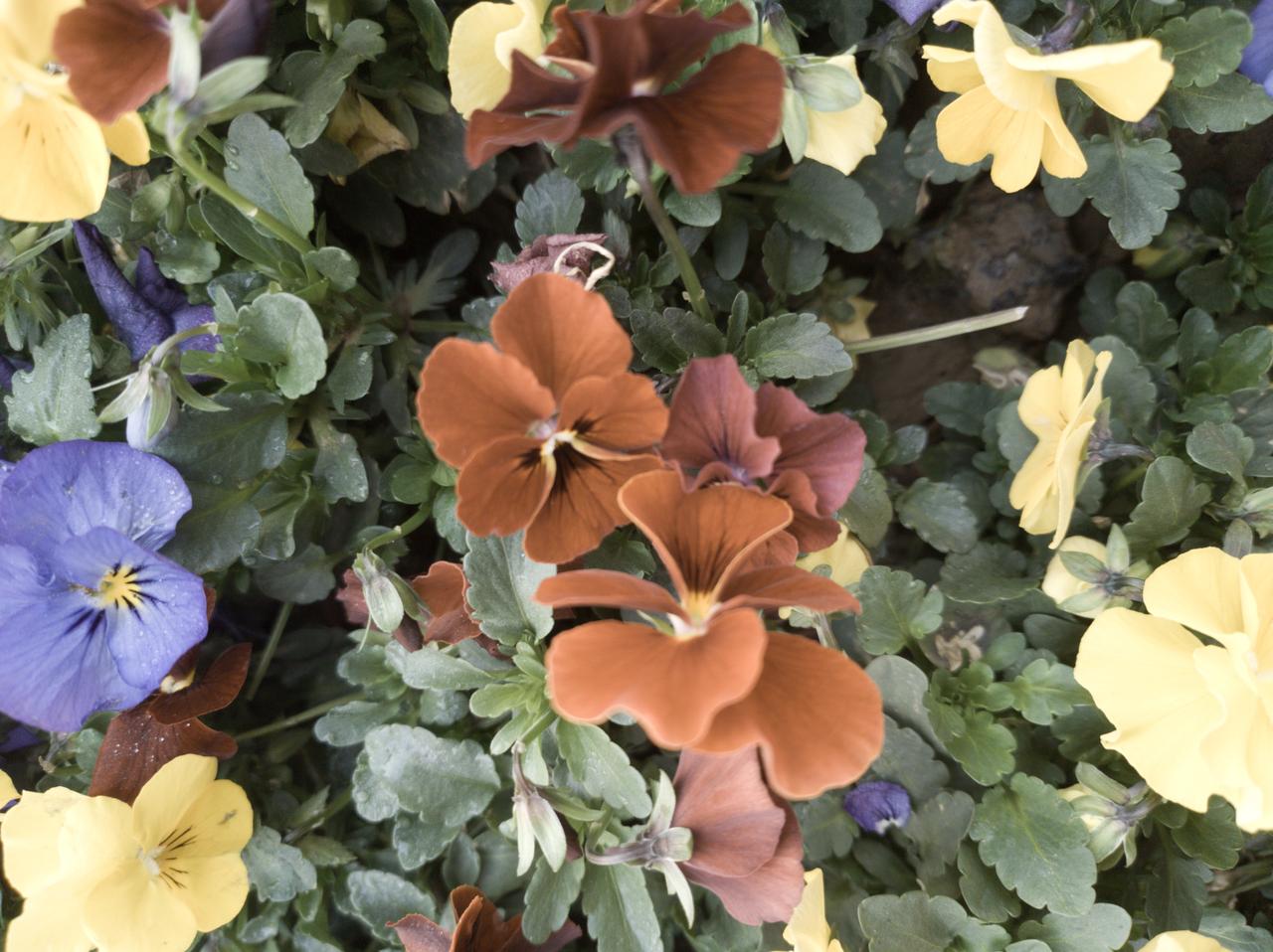 不要相信别人夸自己聪明，看一看自己身在“哪里”？