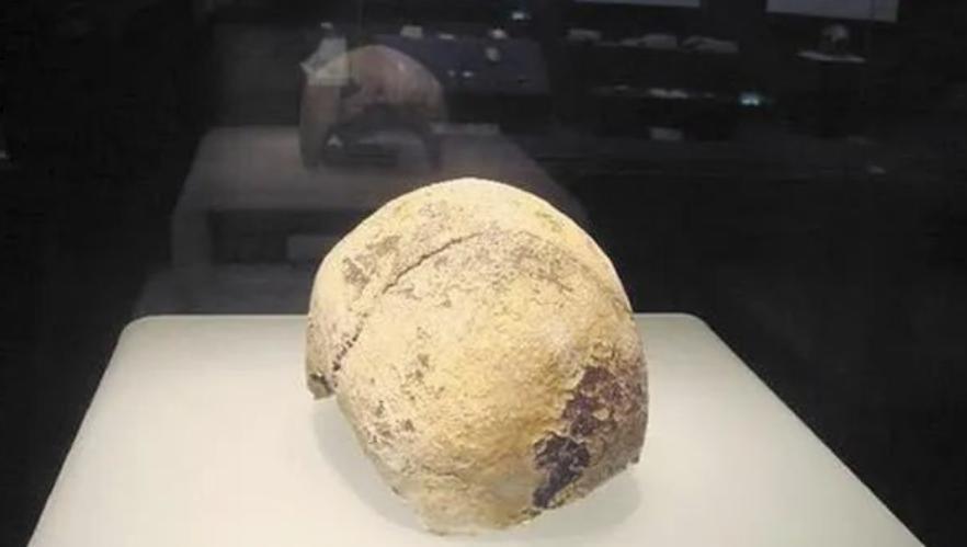 1997年，武汉环保局干部毛凑元到长江边晨练，突然发现一块像骷髅的怪石，于是捡回