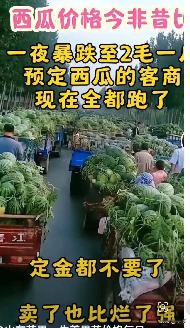 农产品为什么屡屡出现滞销问题？
 
当河南西瓜滞销的消息，频频进入大众视野的画面