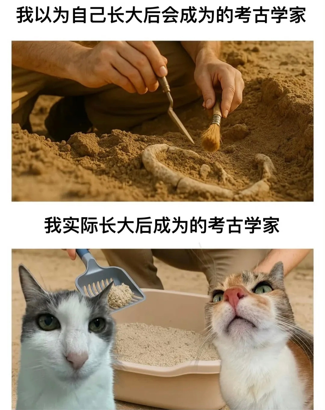 《沥屎学家》 ​​​