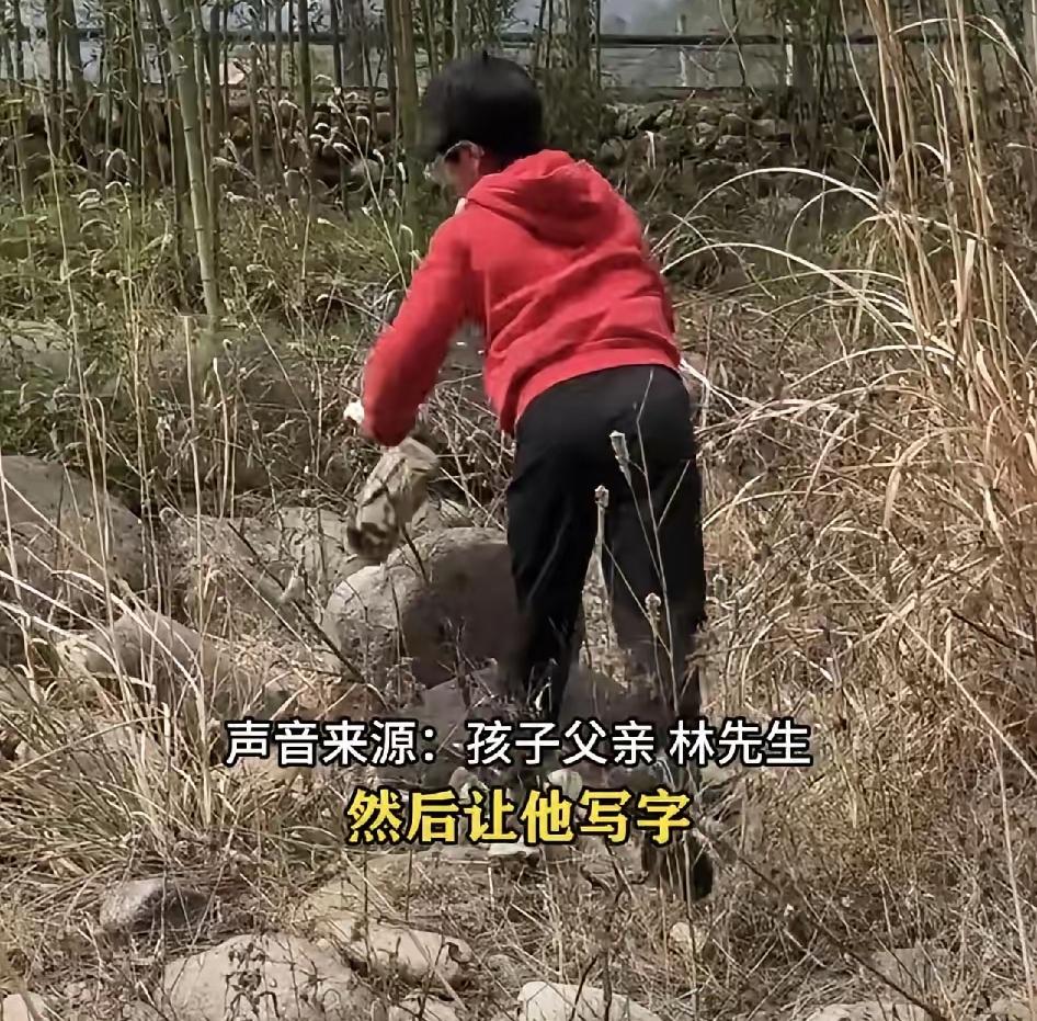 “强的可怕！”浙江杭州，一8岁男孩因不愿意做作业，被父亲带到乡下搬石头，从早上8