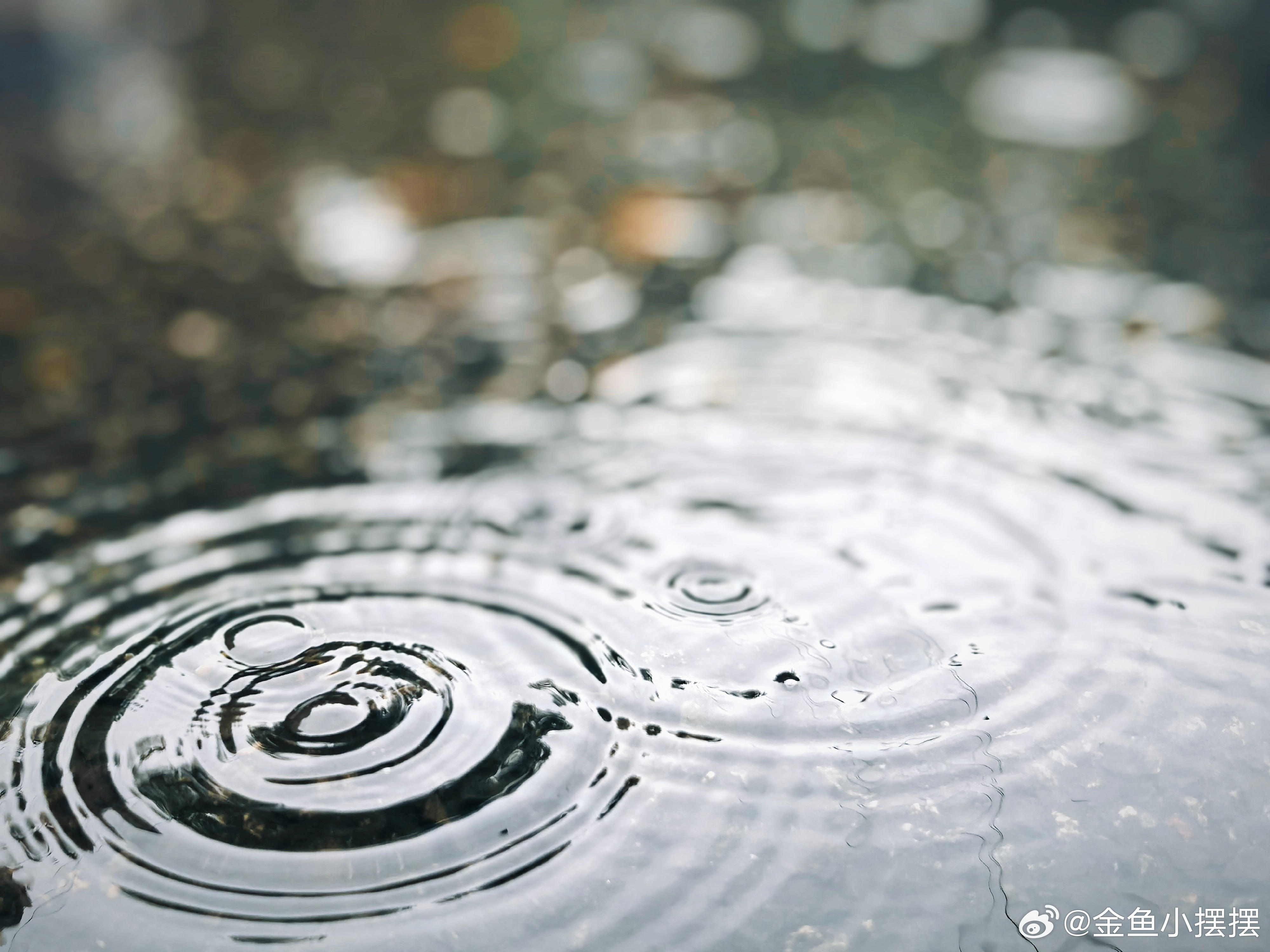 逗比小孩  满地的环环相扣，是独属于下雨天的风景。躲在伞下的小朋友，把它们记录了