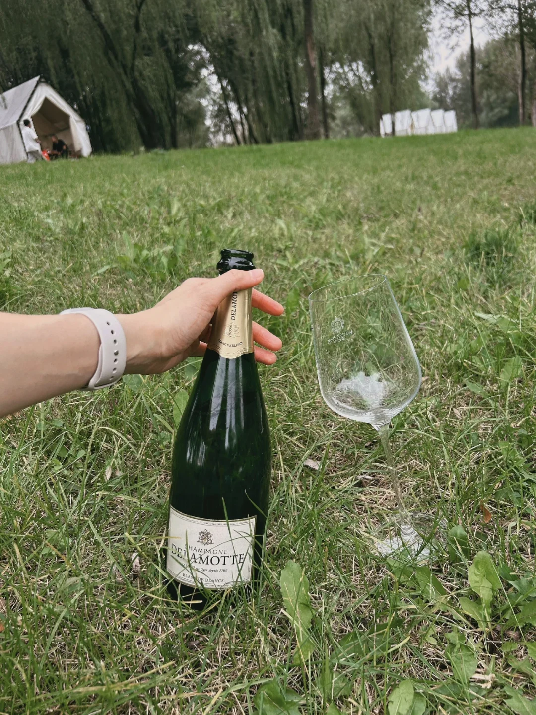 北京周边中秋去哪玩｜草地撒野露营️🥂