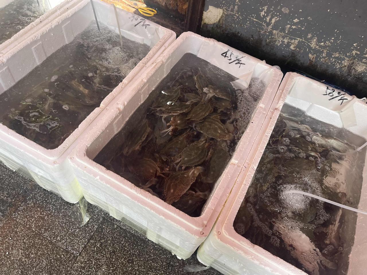 上海活的梭子蟹23到58元一斤，价格按大小重量及活力程度区分，半斤一只的38元一