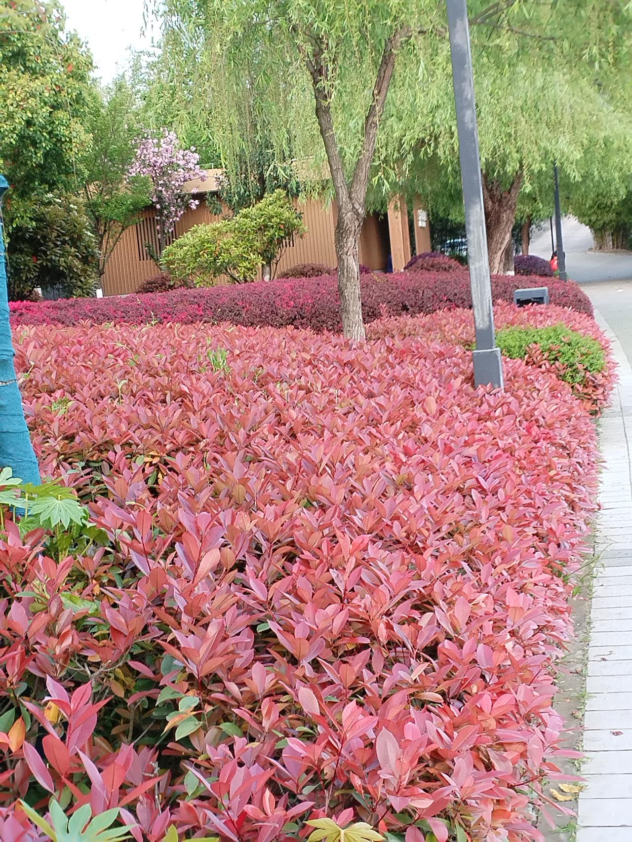 “青山藏画意”这句话意境很清新，有山水画的意境，表达青山中蕴藏着画的意趣和美感。