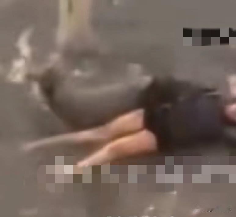 7月22日晚，陕西宝鸡永清县，一对中年夫妇雨天在村中道路被电身亡，这对中年夫妇的