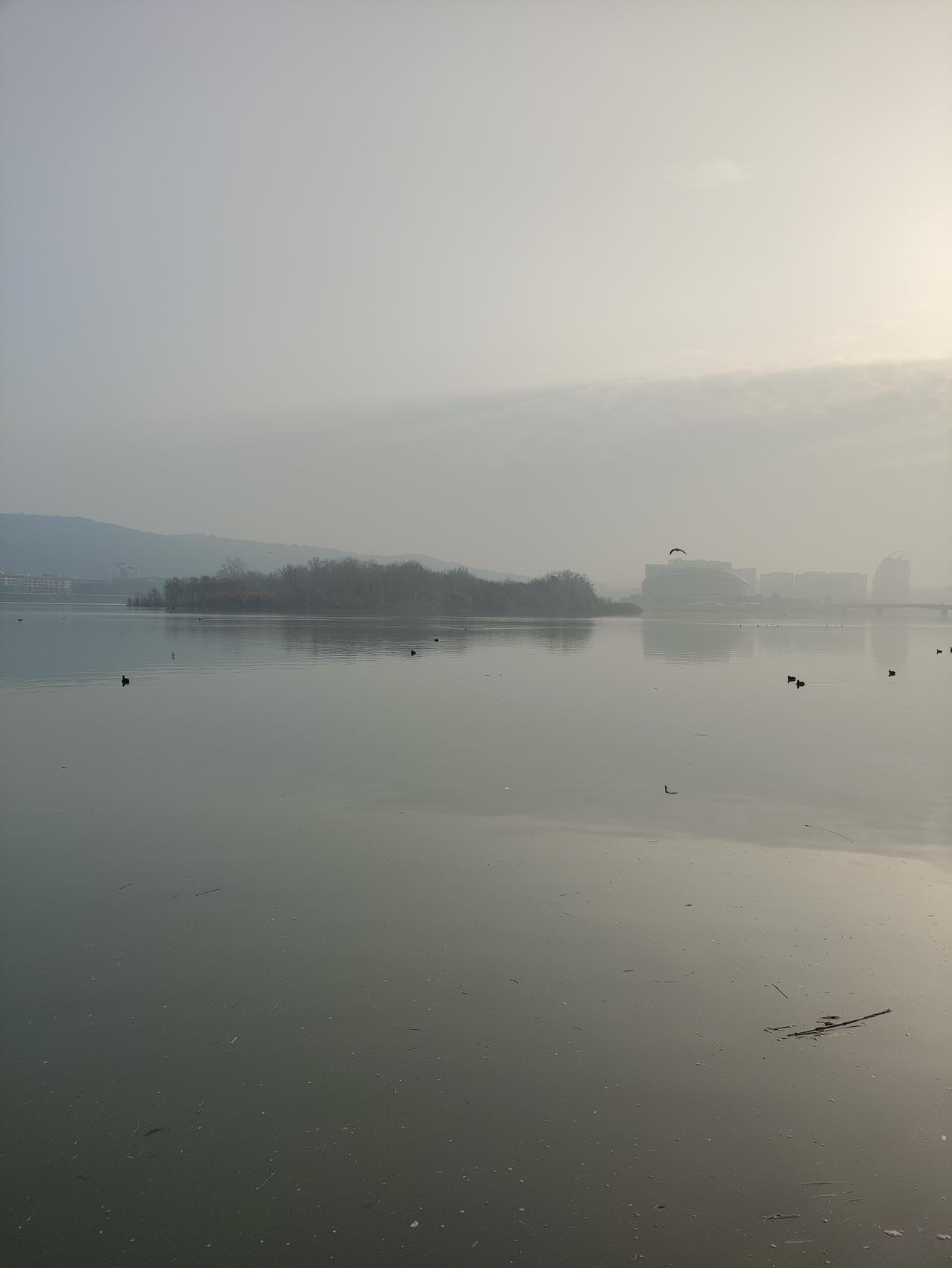 晨雾笼罩下的静谧湖面，几只水鸟悠然自得，远处的建筑若隐若现，仿佛置身世外桃源。