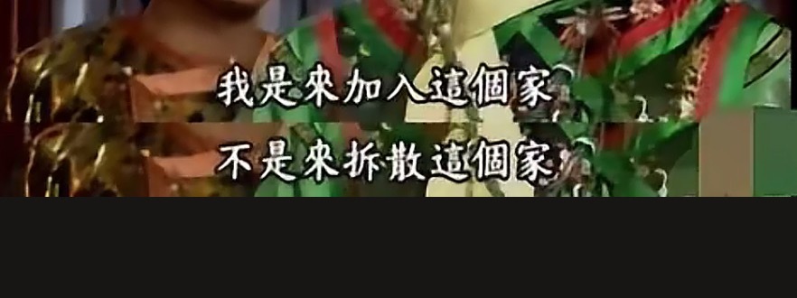 置顶给流浪的毛毛一个家