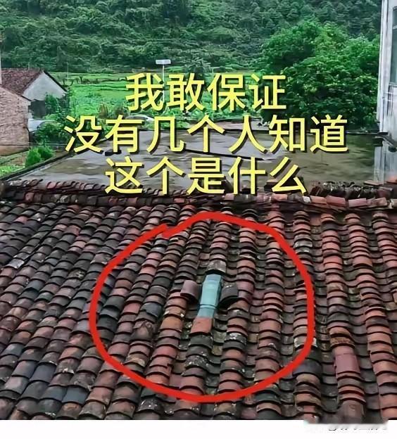 反正我是不知道[捂脸]