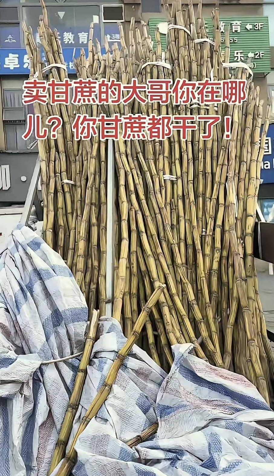 最近刷短视频老看到“甘蔗哥”——说成都青白江一个卖甘蔗的大哥突然不见了，三轮车和