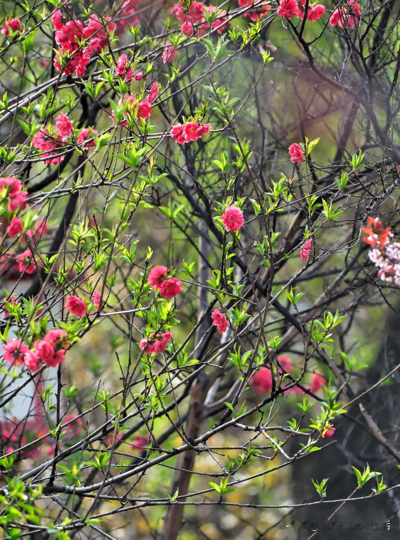 这几天深切感受到了一句话，
夏虫不可语冰。
人最应该交往的，是三观一致认知一致的