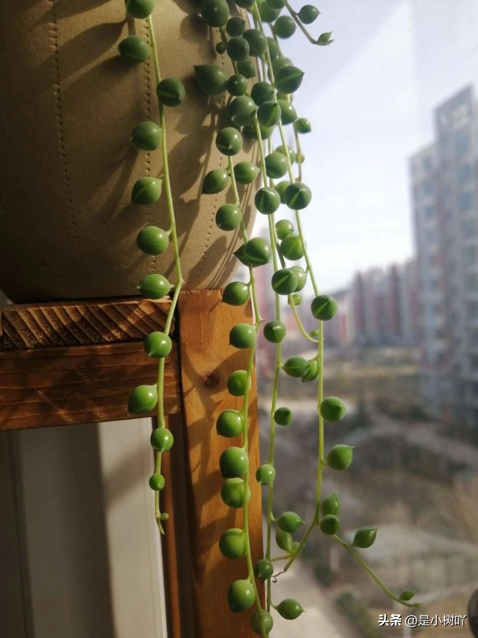 我认识一对夫妻，跟邹市明、冉莹颖夫妻是同款。
 
男人能挣钱，妻子精明能干，生意