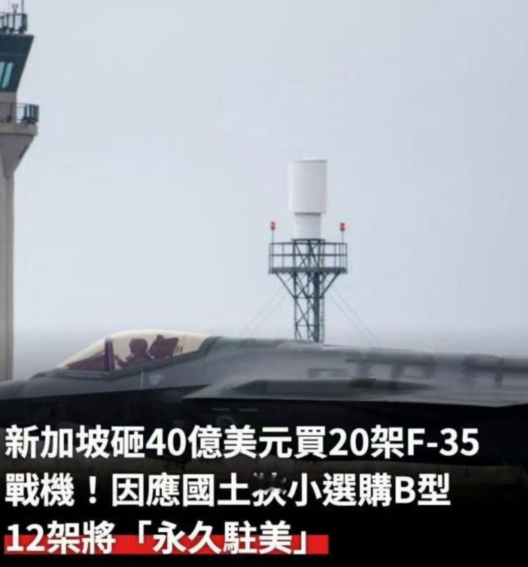 这个消息属实吗？

新加坡花40亿美元，买了20架F-35B，但是其中12架，将