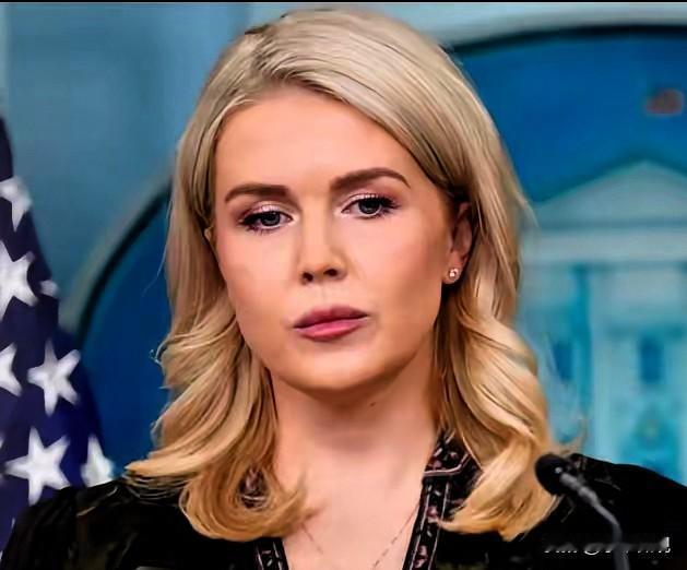 就在刚刚
白宫新闻秘书卡罗琳·莱维特今天（北京时间1月7日）表示：“特朗普总统已