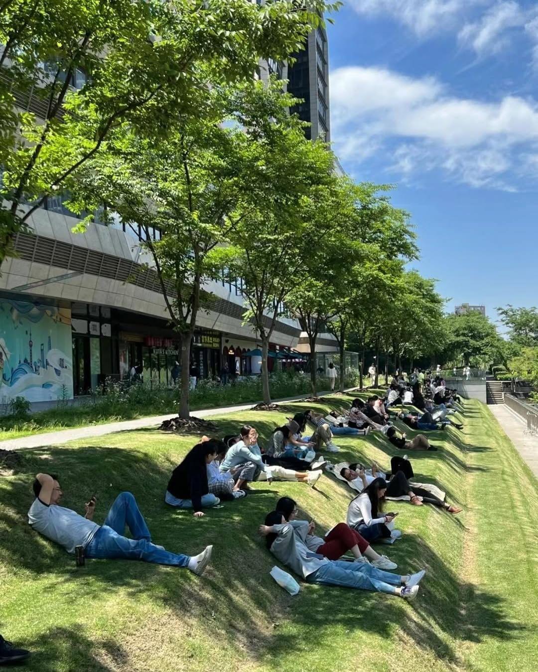 路过滨江这片斜坡草坪，瞬间懂了什么叫城市给打工人的温柔。
 
没有一排排冰冷长椅