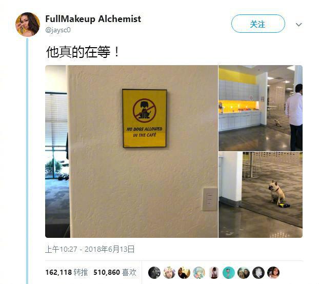 因为餐厅不让狗狗进，乖巧地在外面等主人的狗子，真的很优雅、很端庄了