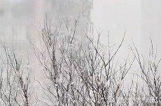 这场雪是陕西人的骄傲！是来年好兆头的前兆！我在暴雪中往返穿行，接送新人，真实体验