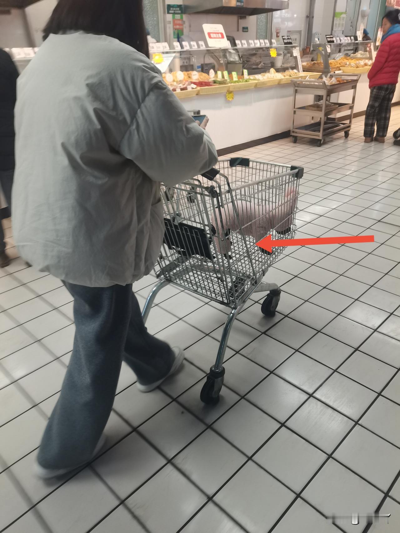 秦皇岛兴龙广缘超市可以带宠物入内？

今天下午，我去了民族南路那家兴龙广缘超市。