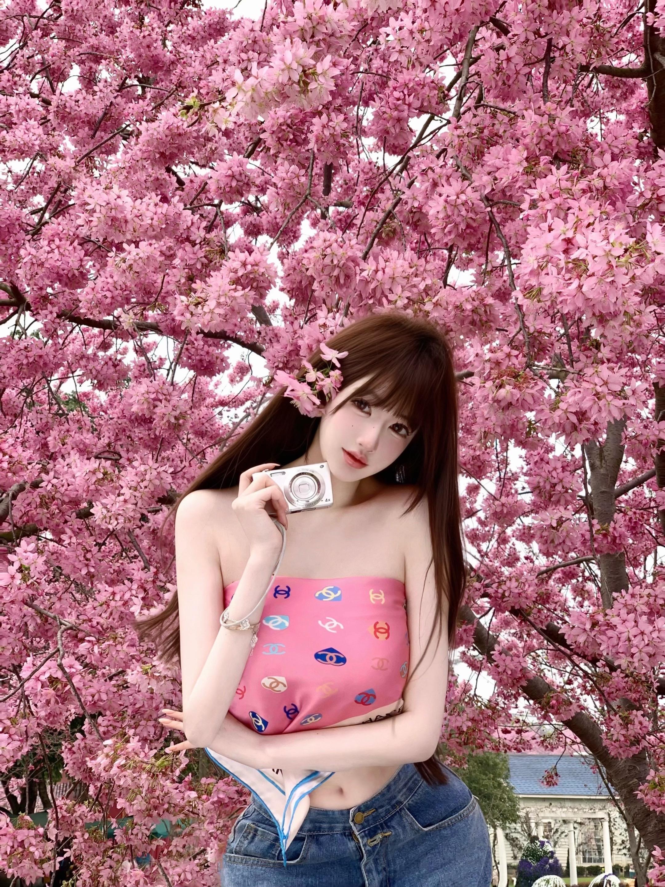 一起赏樱花🌸