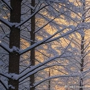 每日一善[超话]   「12月的雪」❄️你那里下雪了吗？ 这是冬日里的第一场大雪