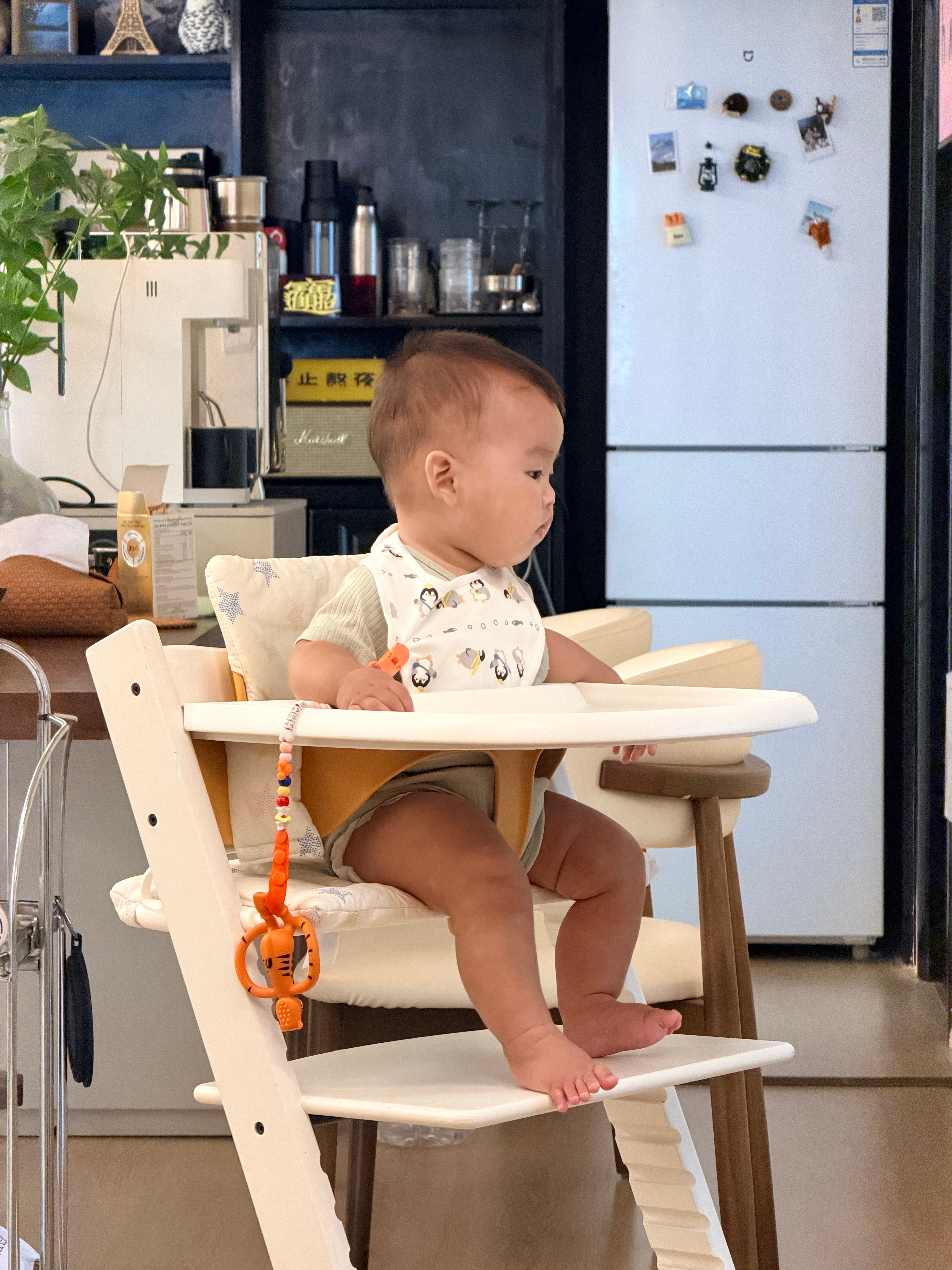人类幼崽
