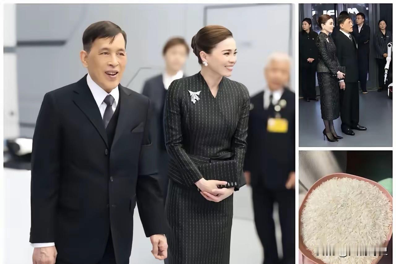 泰国国王这次访华可谓收获颇丰双方会谈一结束，国外媒体就传出消息，中国一口气采购了