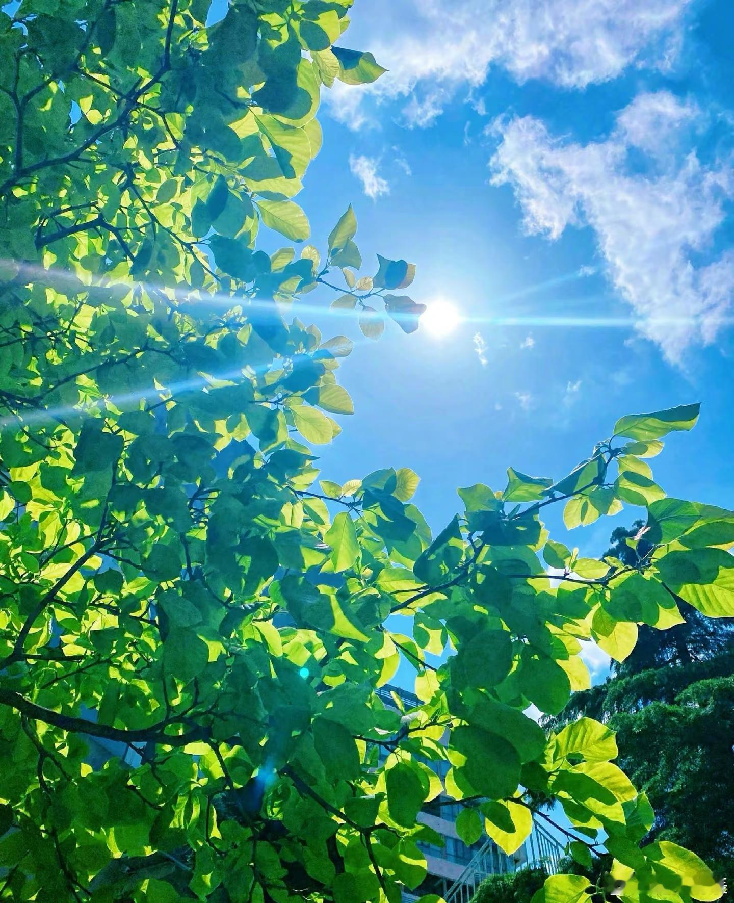 每日一善[超话]  阳光信用 每日一善  生活的天空不可能永远清澈透明，有风雨也