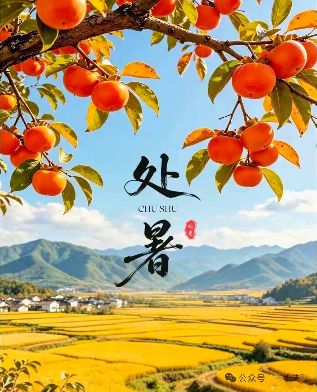 爱情多半是不成功的，要么苦于终成眷属的厌倦，要么苦于未能终成眷属的悲哀。    