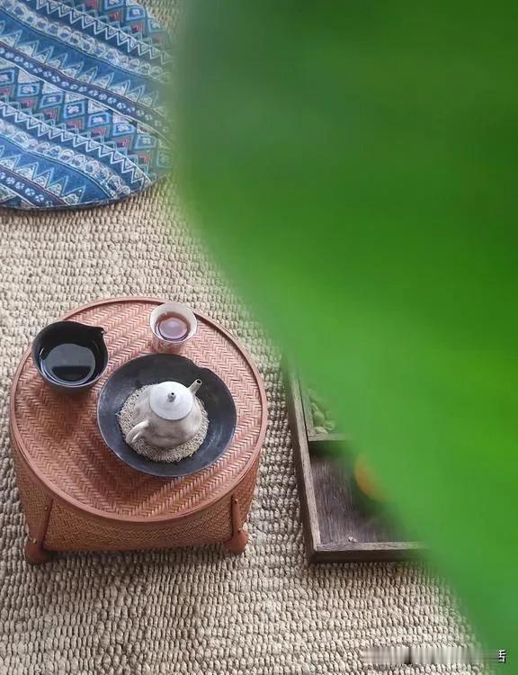 天晴的日子里，忙完手里的事，在阳光房坐坐。柠檬花香了满室，旧芭蕉依然，植物们很乖